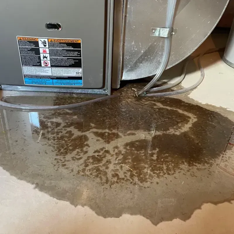 Appliance Leak Cleanup in McMinnville, OR